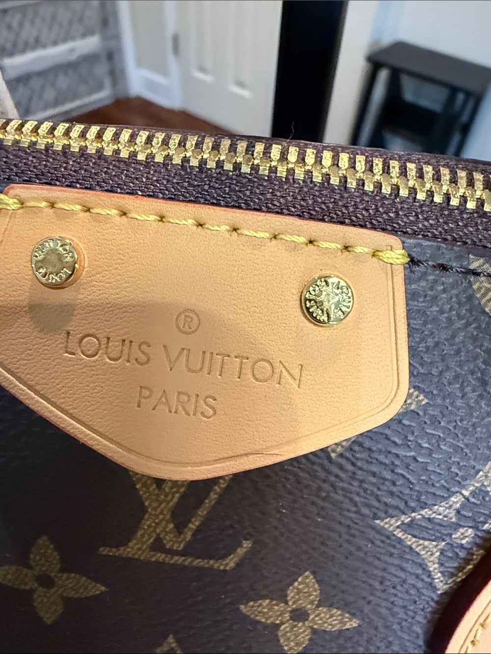 LV Terrene Monogram Canvas Tote with Vachetta Trim - Picture 2 of 15